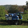 Harvest 2009 completed
